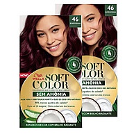 Tintura Soft Color Borgonha: Cabelos Radiantes! - imagem 1