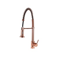 Torneira Gourmet Monocomando Envira Pingoo Dourado Rose - imagem 1