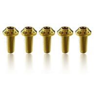 Parafusos Titânio Torx Dourado Arashi M8x22mm para Yamaha MT03, FZ03, R3 (2015-2021) - Upgrade Premium - imagem 2