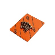 Parafusos Torx Dourados 12 Pontos Aço Inox - Rotor Freio Dianteiro Harley Davidson - imagem 3
