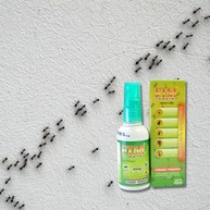 Veneno Cupim Madeira Formiga Barata Traça Fim Combina 40ml - Proteção Total Contra Pragas - imagem 3
