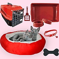 Kit Cama Sherpa Gato: Conforto Total! - imagem 1