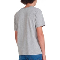 Camisetas Hering Masculinas: Kit 2 Peças Conforto Total - imagem 2