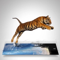 Película de Vidro Realme 10 Pro: Proteção HD Total! - imagem 4