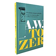 O Cristão Surpreendente: Vida Plena com Deus | Tozer - imagem 2