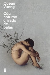 Céu Noturno Crivado de Balas: Poesia que Transcende Fronteiras e Experiências - imagem 2