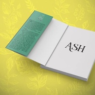 Ash: Uma Releitura LGBTQIAP+ de Cinderela sobre Amor e Transformação - imagem 4