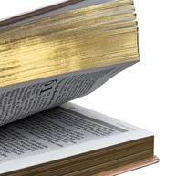 Bíblia Joyce Meyer NVI: Estudo Profundo e Transformador - imagem 2