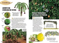 transforme-giacon-jardinagem-seu-e-com-edilson-jardim-pratico-de-a-guia-aprenda-a