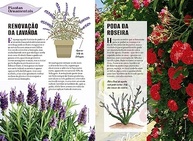 transforme-seu-guia-jardinagem-giacon-aprenda-edilson-jardim-de-pratico-com-e-a