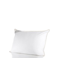 Travesseiro Buddemeyer 50x90cm: Conforto e Qualidade - imagem 1