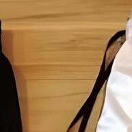 Calça Jogger Masculina para Academia e Corrida: Conforto e Estilo no Treino - imagem 2