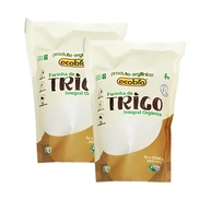 Kit 2X: Farinha de Trigo Integral Orgânica Ecobio 500g - imagem 2