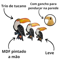 Trio de Quadros Tucano G - Decoração Tropical para Parede, Jardim e Varanda - imagem 5