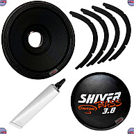 Reparo Alto Falante 18" Shiver 3.8k Triton - imagem 2