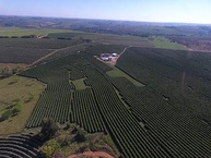 tucano-tucano-black-black-250g-e-especial-cafe-torrado-coffee-moido-coffee-organic