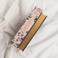 twilight-edicao-deluxe-a-o-mundo-de-vampirico-que-colecionador-romance-conquistou-o-a