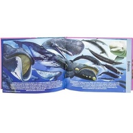 Explorando o Mundo: Animais dos Oceanos - Um Guia Ilustrado Incrível - imagem 5