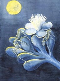 um-secreta-formigas-vida-descubra-fascinante-a-das-a-mundo-a