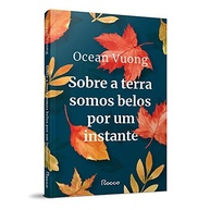 Sobre a Terra Somos Belos por um Instante: Uma Jornada Emocionante de Amor e Identidade - imagem 3