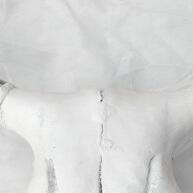 Cabeça de Boi Natural: Decore com Elegância e Característica Única - imagem 2