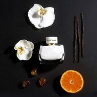 Montblanc Signature EDP: Seu Perfume Único - imagem 2
