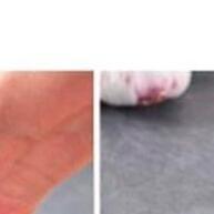 Espremedor de Alho Manual Inox – 2 Unidades - imagem 1