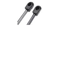 Amortecedor Porta Malas Peugeot 307 Hatch: Kit 2 Unidades - imagem 1