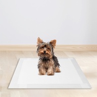 Good Pad: Tapete Higiênico Pet 60x60 – 30 Unidades - imagem 2