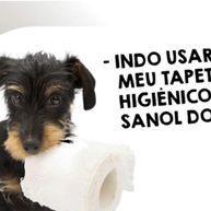 Tapete Higiênico Sanol Dog 80x60 com 30 Unidades - imagem 1