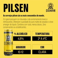 Pack de Eisenbahn LT 350ml Pielsen 12 Unidades - imagem 4