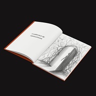 universum-desvende-um-sua-mundo-animus-a-identidade-em-surreal-a