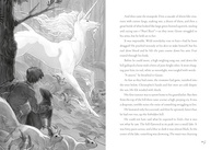 vai-impossible-aventura-conquistar-voce-magica-creatures-a-que-a