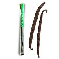 vanilla-baunilha-de-fava-brasil-02-un