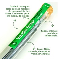 vanilla-un-02-de-fava-baunilha-brasil