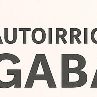 Vaso Autoirrigável MEGABALL: Praticidade e Estilo para Cactos e Suculentas - imagem 1