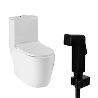 Vaso Sanitário Amazonita + Ducha Jacuí: Elegância e Praticidade - imagem 1