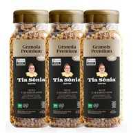 Kit 3 Granola Premium Vegana Castanha Fruta 410g cada Tia Sônia - imagem 2