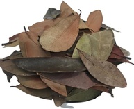 Insulina Vegetal 500Gr (Ervas e Talos) - imagem 1
