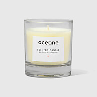 Vela Aromatizada Gardênia e Tuberosa – Conforto e Elegância em 180g - imagem 1
