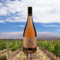 Vinho Ventisquero Grey Single Block Rose 750ml - imagem 4