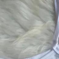 Pijama Feminino Baby Doll com Personagens: Conforto e Estilo para Noites de Verão - imagem 2
