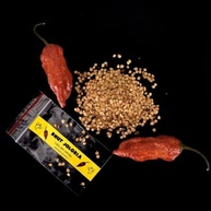20 Sementes Bhut Jolokia Vermelha - imagem 2