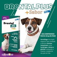 Drontal Plus Cães: Proteja seu Pet dos Vermes! - imagem 2
