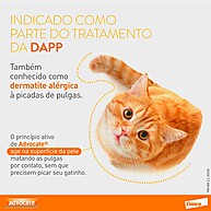 Advocate Gatos: Elimine Pulgas e Vermes! - imagem 2