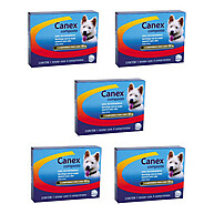 Vermifugo Ceva Canex Composto: Proteção Completa para Seu Cão - imagem 1
