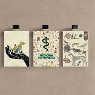 Kit 3 Quadros Decorativos para Consultório de Medicina Veterinária - Design Profissional - imagem 2