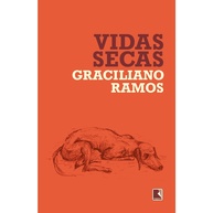 Vidas Secas: A Obra-Prima da Literatura Brasileira - imagem 1