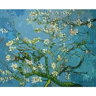 Tococoo Pintura por Números Vincent Van Gogh - Kit DIY com Tela 40,6x50,8cm - Flores de Damasco - imagem 2