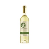 Vinho Chileno Luna Vista Estate Vineyards Sauvignon Blanc 750ml - imagem 2